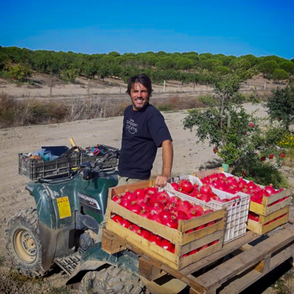 Joao Poppin Pacheco SQ jpg